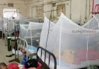 ডেঙ্গুতে আরও ১০ জনের মৃত্যু