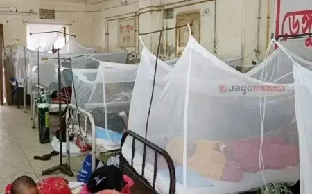 ডেঙ্গুতে আরও ১০ জনের মৃত্যু